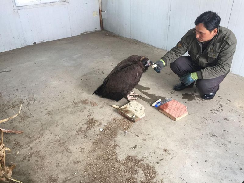 ͼƬ4_¸±±¾.jpg ͼƬ4_¸±±¾.jpg