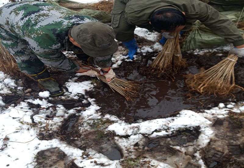 ��ֲ (2)_����.jpg