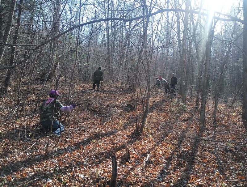 ��ǰ��� (2)_����.jpg