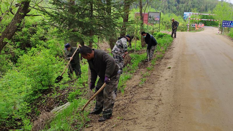 ɳ���ֳ���֧����֯��չ��ͬ��ͬ�б���̬ ��Ϊ������ɫ�����⵳���˶� (2)_����_����.jpg