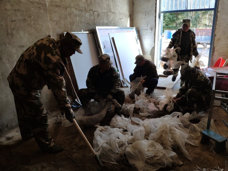 ���ӽ���ɳ��1 (2).jpg