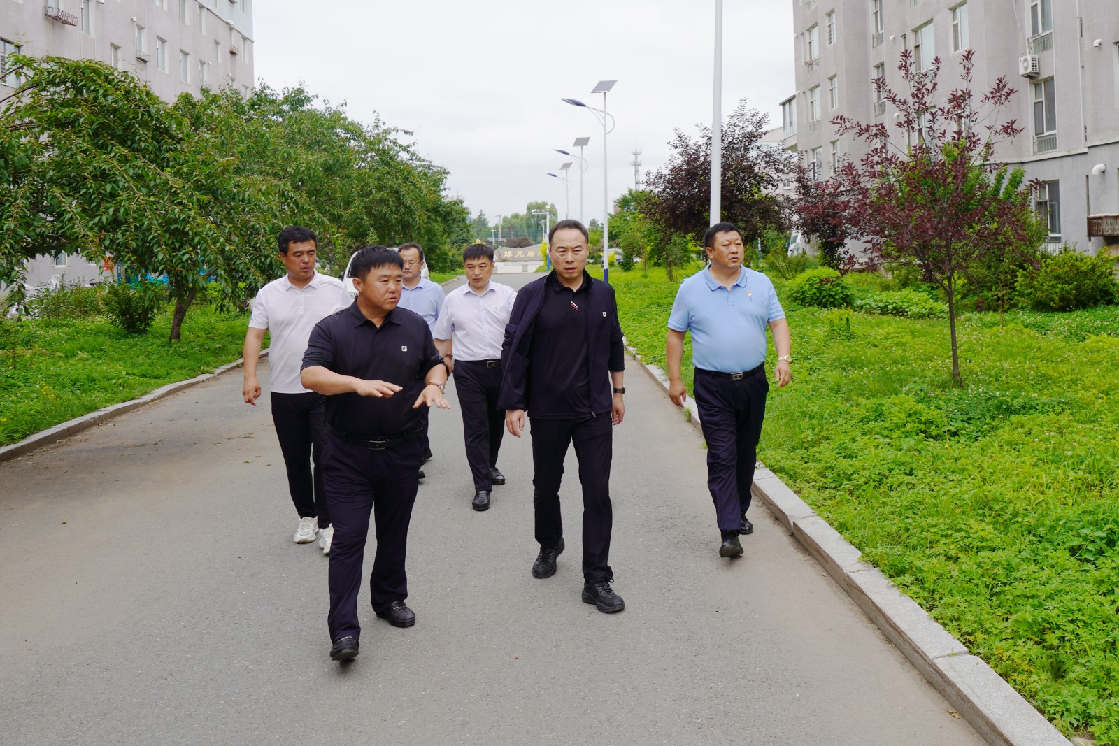 DSC06238 ����.jpg