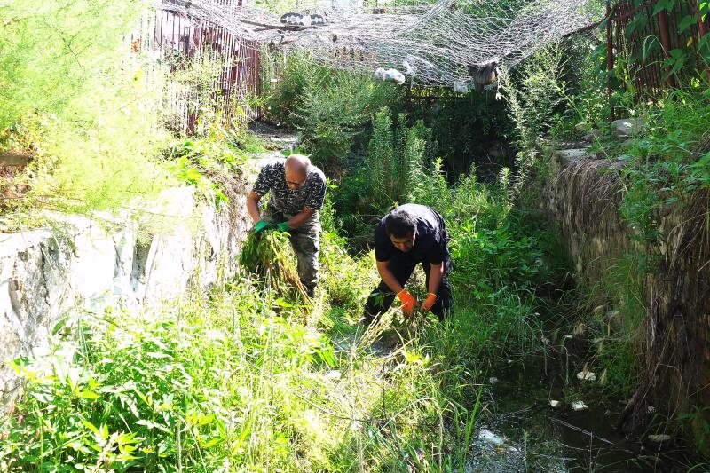 20230731_C6435.MP4_20230731_153704.685 ����.jpg