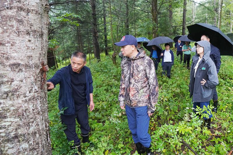 DSC09721 ����.jpg