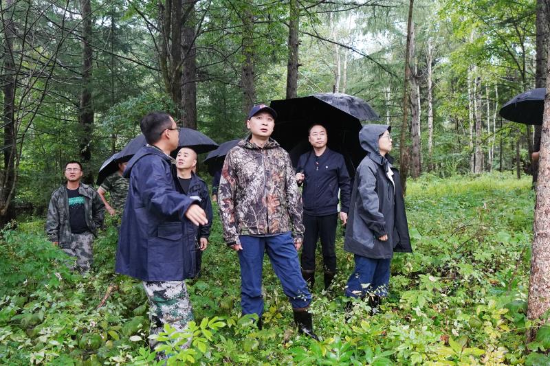 DSC09700 ����.jpg