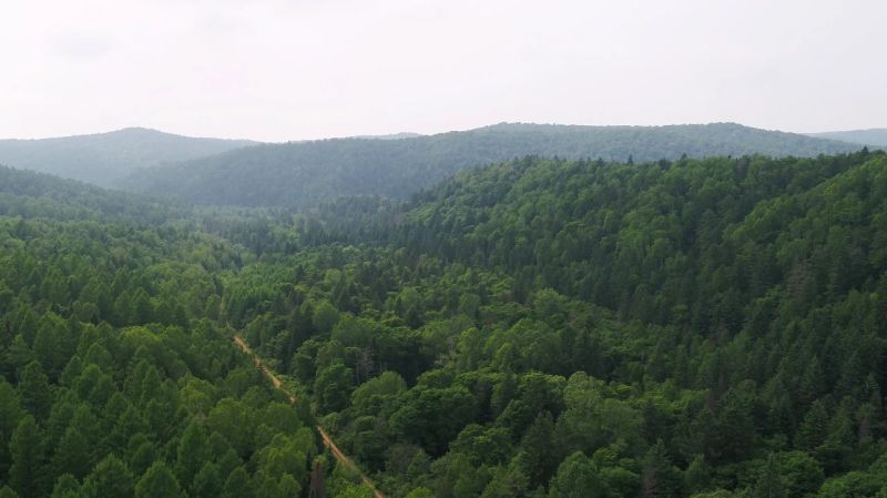 ΢ÐÅͼƬ_20240822083305.jpg ΢ÐÅͼƬ_20240822083305.jpg